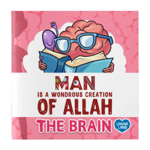 The Brain